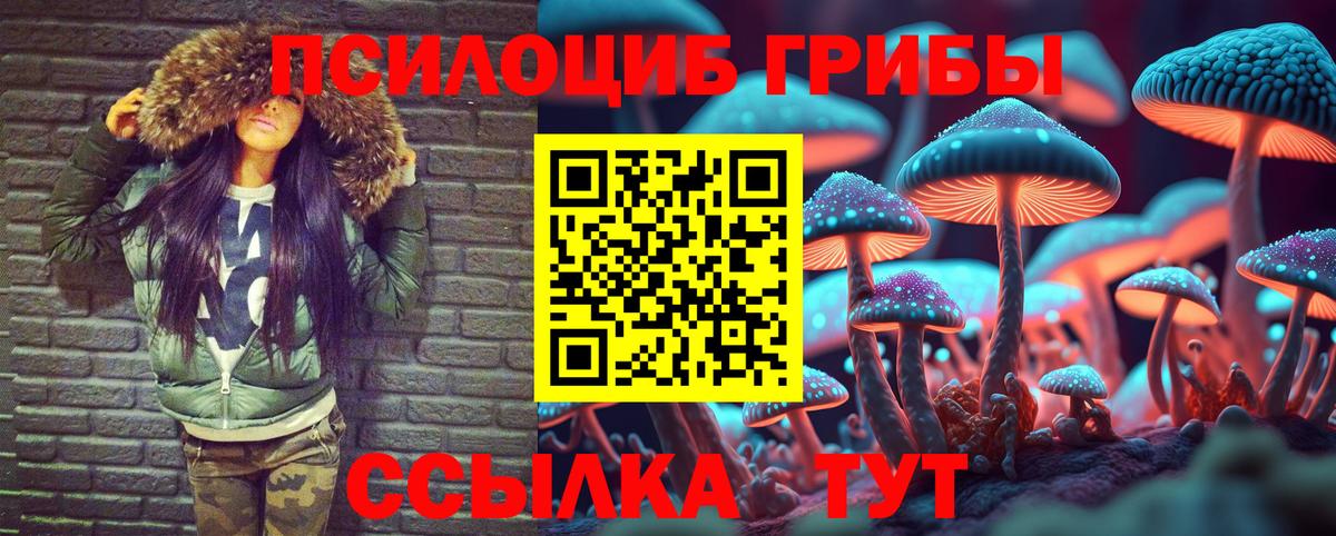 Хабаровск  Галлюциногенные грибы GOLDEN TEACHER  Вход с VPN 
