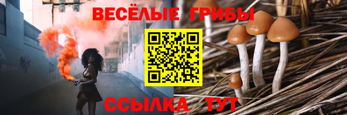 Галлюциногенные грибы Magic Shrooms Хабаровск